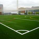 3G Sports Surface